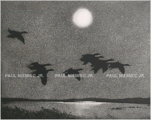 Night Flight, etchings and dry points by Paul Niemiec